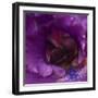 Iris Abstract-Anna Miller-Framed Photographic Print