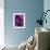 Iris Abstract-Anna Miller-Framed Photographic Print displayed on a wall