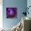 Iris Abstract-Anna Miller-Photographic Print displayed on a wall