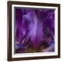 Iris Abstract-Anna Miller-Framed Photographic Print