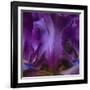 Iris Abstract-Anna Miller-Framed Photographic Print