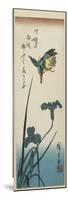 Iris and Kingfisher, 1843-1847-Utagawa Hiroshige-Mounted Premium Giclee Print