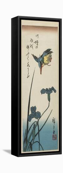 Iris and Kingfisher, 1843-1847-Utagawa Hiroshige-Framed Stretched Canvas