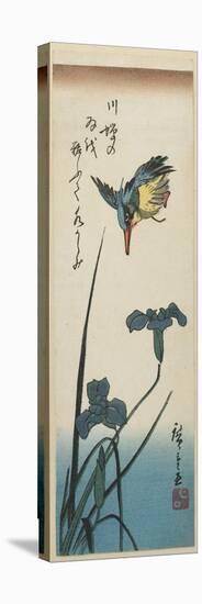 Iris and Kingfisher, 1843-1847-Utagawa Hiroshige-Stretched Canvas