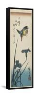 Iris and Kingfisher, 1843-1847-Utagawa Hiroshige-Framed Stretched Canvas