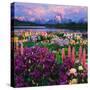 Iris and Lupine Garden and Teton Range at Oxbow Bend, Wyoming, USA-Adam Jones-Stretched Canvas