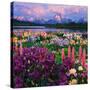 Iris and Lupine Garden and Teton Range at Oxbow Bend, Wyoming, USA-Adam Jones-Stretched Canvas