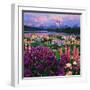 Iris and Lupine Garden and Teton Range at Oxbow Bend, Wyoming, USA-Adam Jones-Framed Photographic Print