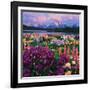 Iris and Lupine Garden and Teton Range at Oxbow Bend, Wyoming, USA-Adam Jones-Framed Photographic Print