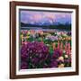 Iris and Lupine Garden and Teton Range at Oxbow Bend, Wyoming, USA-Adam Jones-Framed Photographic Print