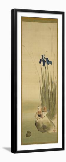 Iris and Mandarin Ducks (Ink & Colour on Silk)-Sakai Hoitsu-Framed Premium Giclee Print