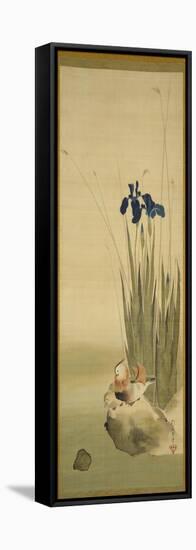 Iris and Mandarin Ducks (Ink & Colour on Silk)-Sakai Hoitsu-Framed Stretched Canvas