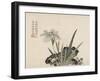 Iris and Rock-null-Framed Art Print