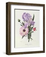 Iris, Anemone and Geranium-Pierre-Joseph Redouté-Framed Giclee Print