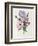 Iris, Anemone and Geranium-Pierre-Joseph Redouté-Framed Giclee Print