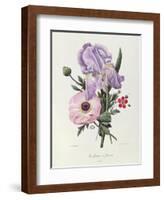 Iris, Anemone and Geranium-Pierre-Joseph Redouté-Framed Giclee Print
