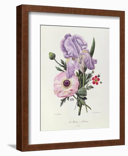 Iris, Anemone and Geranium-Pierre-Joseph Redouté-Framed Giclee Print