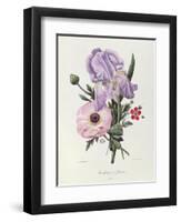 Iris, Anemone and Geranium-Pierre-Joseph Redouté-Framed Giclee Print