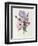 Iris, Anemone and Geranium-Pierre-Joseph Redouté-Framed Giclee Print