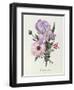 Iris, Anemone and Geranium-Pierre-Joseph Redouté-Framed Giclee Print