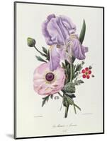 Iris, Anemone and Geranium-Pierre-Joseph Redouté-Mounted Giclee Print