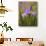 Iris Art-Jessica Jenney-Giclee Print displayed on a wall