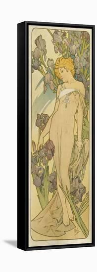 Iris, (Aus Der Serie Von Dekorationstafeln "Blumen), 1898-Alphonse Mucha-Framed Stretched Canvas