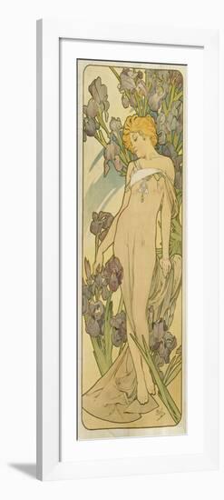 Iris, (Aus Der Serie Von Dekorationstafeln "Blumen), 1898-Alphonse Mucha-Framed Giclee Print