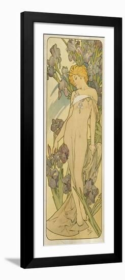 Iris, (Aus Der Serie Von Dekorationstafeln "Blumen), 1898-Alphonse Mucha-Framed Giclee Print