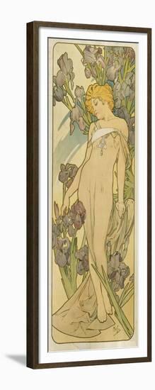 Iris, (Aus Der Serie Von Dekorationstafeln "Blumen), 1898-Alphonse Mucha-Framed Giclee Print