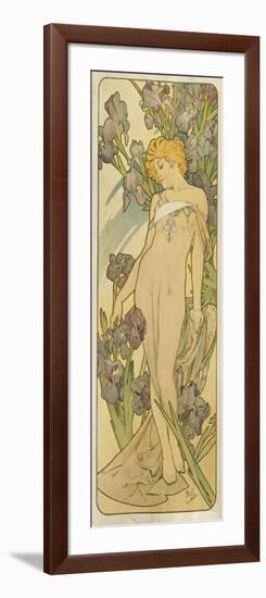 Iris, (Aus Der Serie Von Dekorationstafeln "Blumen), 1898-Alphonse Mucha-Framed Giclee Print