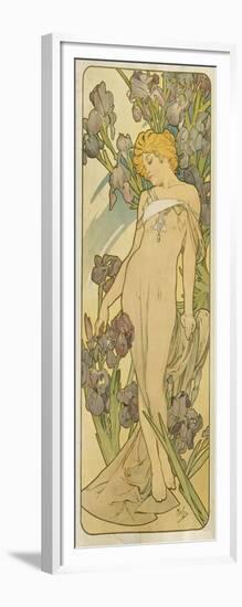 Iris, (Aus Der Serie Von Dekorationstafeln "Blumen), 1898-Alphonse Mucha-Framed Giclee Print