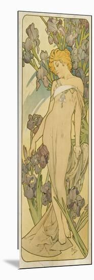 Iris, (Aus Der Serie Von Dekorationstafeln "Blumen), 1898-Alphonse Mucha-Mounted Giclee Print