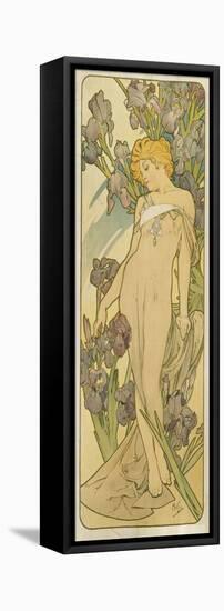 Iris, (Aus Der Serie Von Dekorationstafeln "Blumen), 1898-Alphonse Mucha-Framed Stretched Canvas