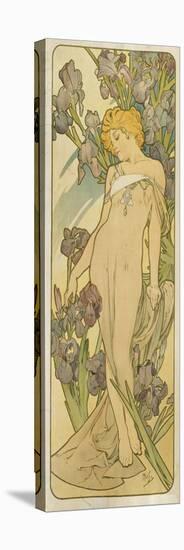 Iris, (Aus Der Serie Von Dekorationstafeln "Blumen), 1898-Alphonse Mucha-Stretched Canvas