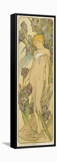 Iris, (Aus Der Serie Von Dekorationstafeln "Blumen), 1898-Alphonse Mucha-Framed Stretched Canvas