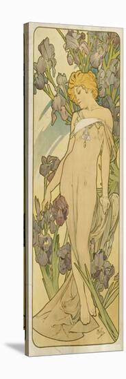 Iris, (Aus Der Serie Von Dekorationstafeln "Blumen), 1898-Alphonse Mucha-Stretched Canvas