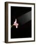 Iris Beams-Charles Bowman-Framed Photographic Print