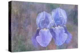 Iris Blue Rhythm-Cora Niele-Stretched Canvas