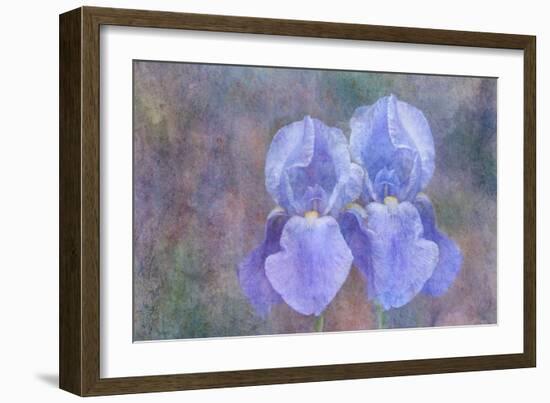 Iris Blue Rhythm-Cora Niele-Framed Photographic Print