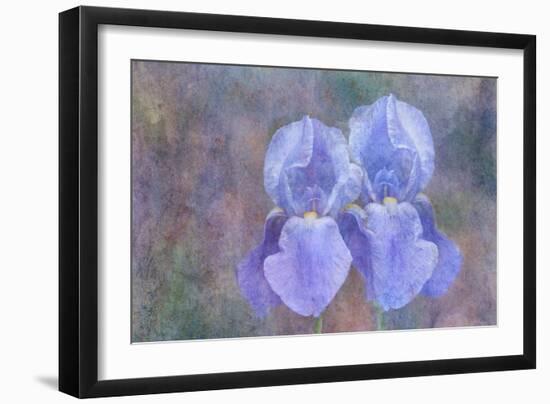 Iris Blue Rhythm-Cora Niele-Framed Photographic Print