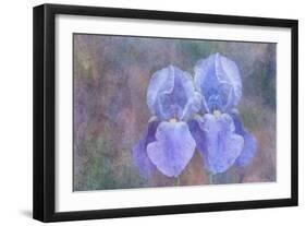 Iris Blue Rhythm-Cora Niele-Framed Photographic Print