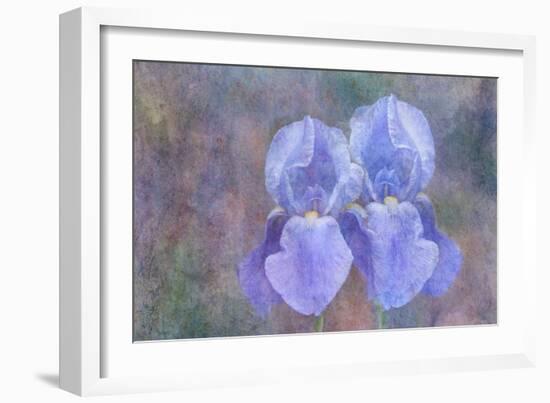 Iris Blue Rhythm-Cora Niele-Framed Photographic Print