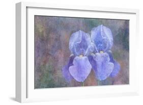 Iris Blue Rhythm-Cora Niele-Framed Photographic Print