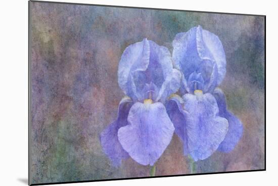 Iris Blue Rhythm-Cora Niele-Mounted Photographic Print