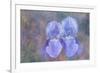 Iris Blue Rhythm-Cora Niele-Framed Photographic Print