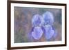 Iris Blue Rhythm-Cora Niele-Framed Photographic Print