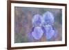 Iris Blue Rhythm-Cora Niele-Framed Photographic Print