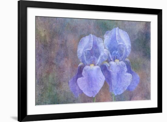 Iris Blue Rhythm-Cora Niele-Framed Photographic Print