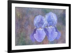 Iris Blue Rhythm-Cora Niele-Framed Photographic Print